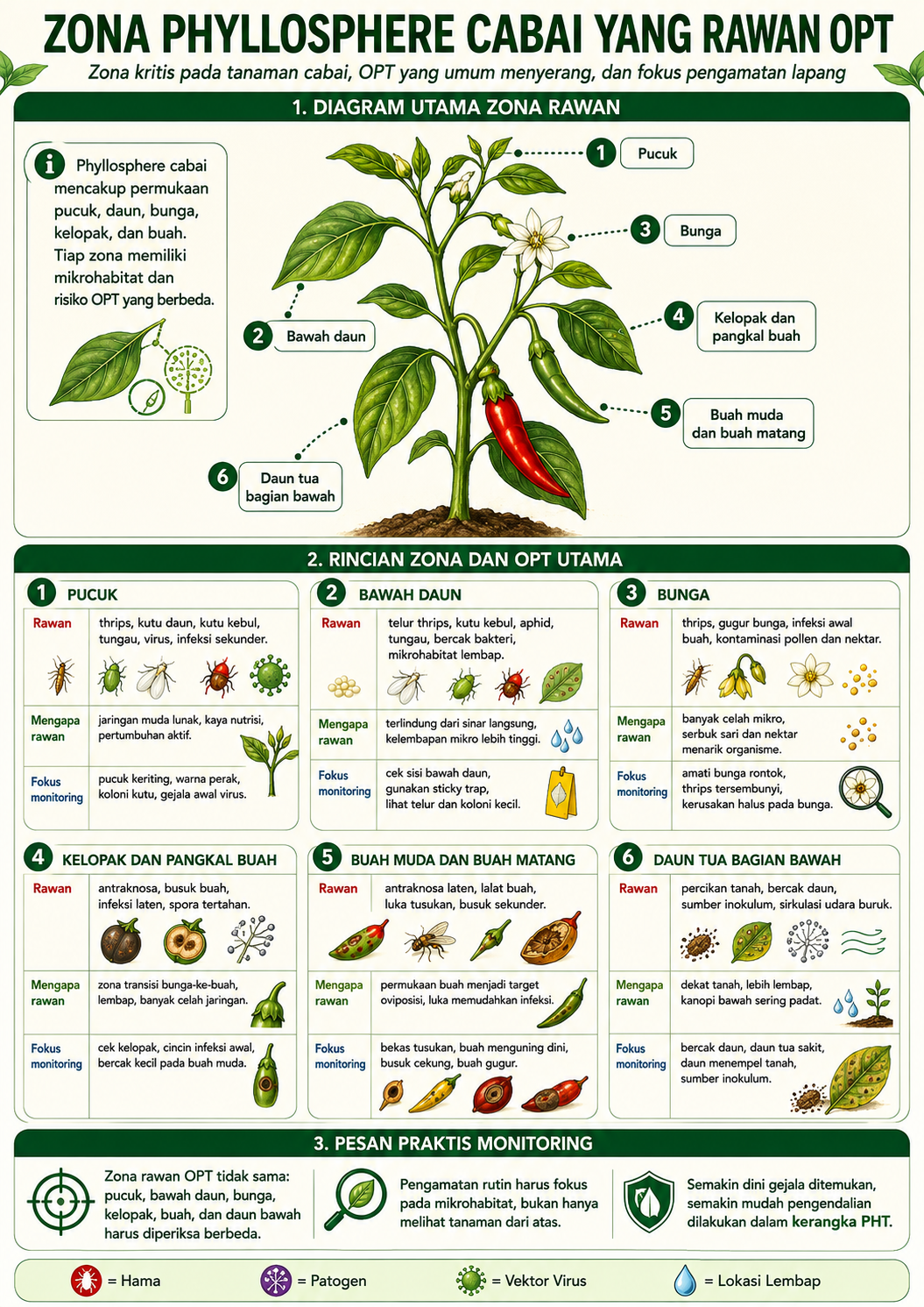 Phyllosphere rawan OPT